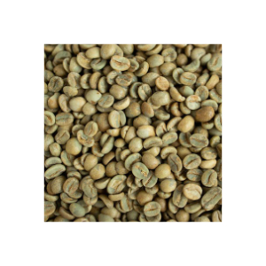 Grüner Kaffee